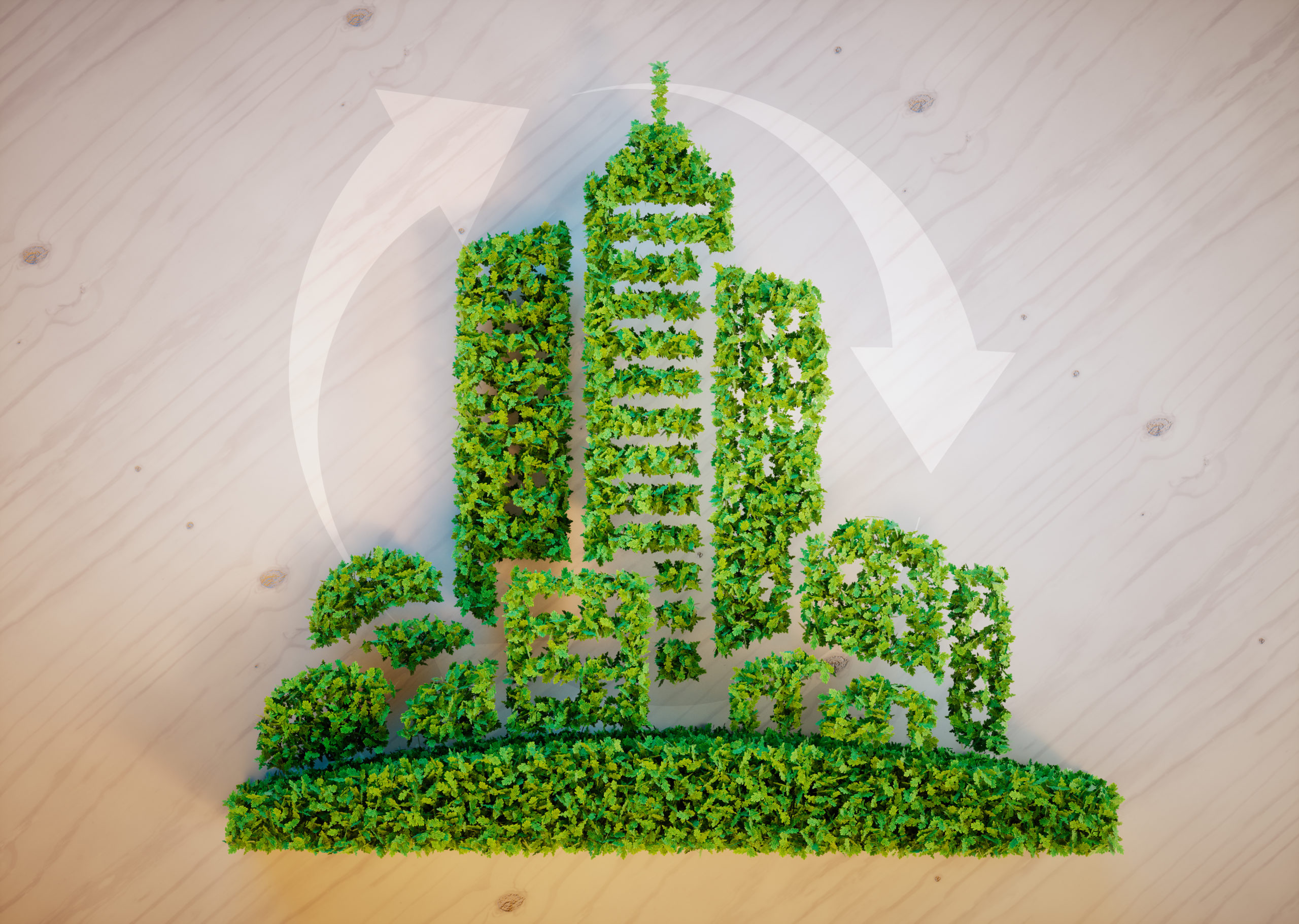 Entidades discutem cidades com sustentabilidade