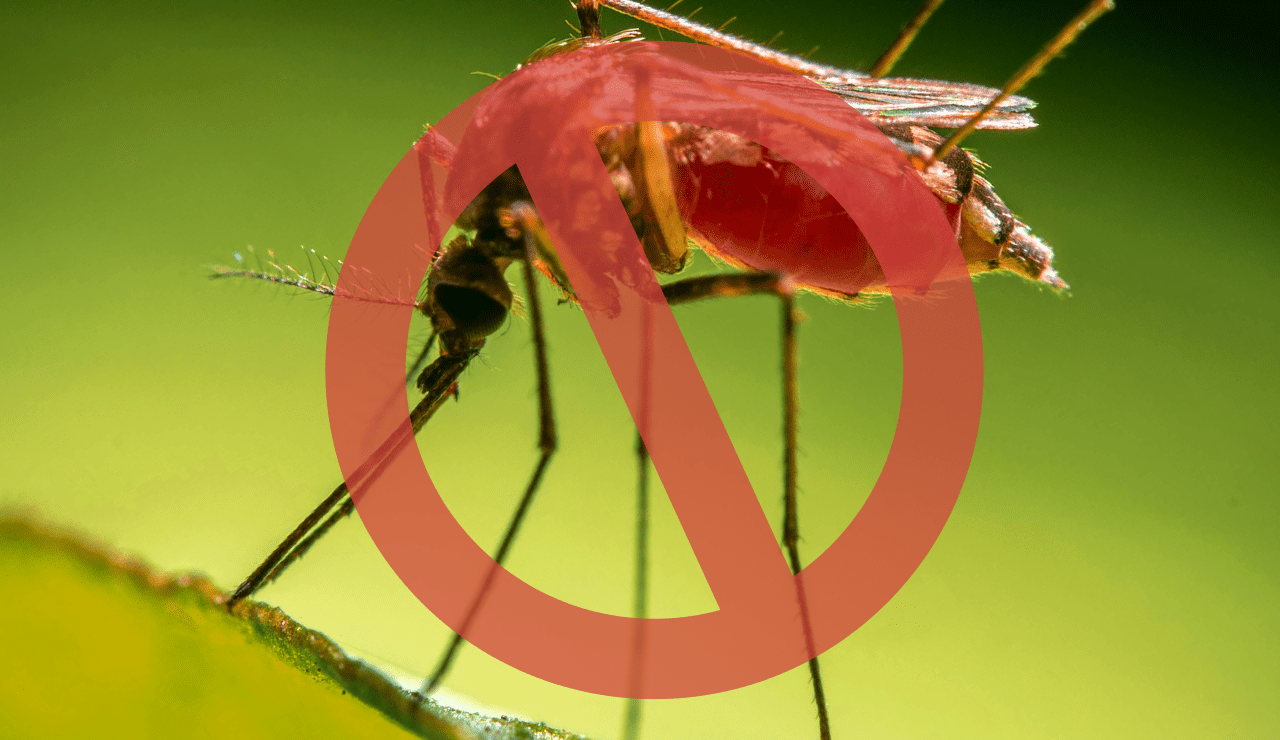 Seconci-SP: evite a dengue nos canteiros de obras