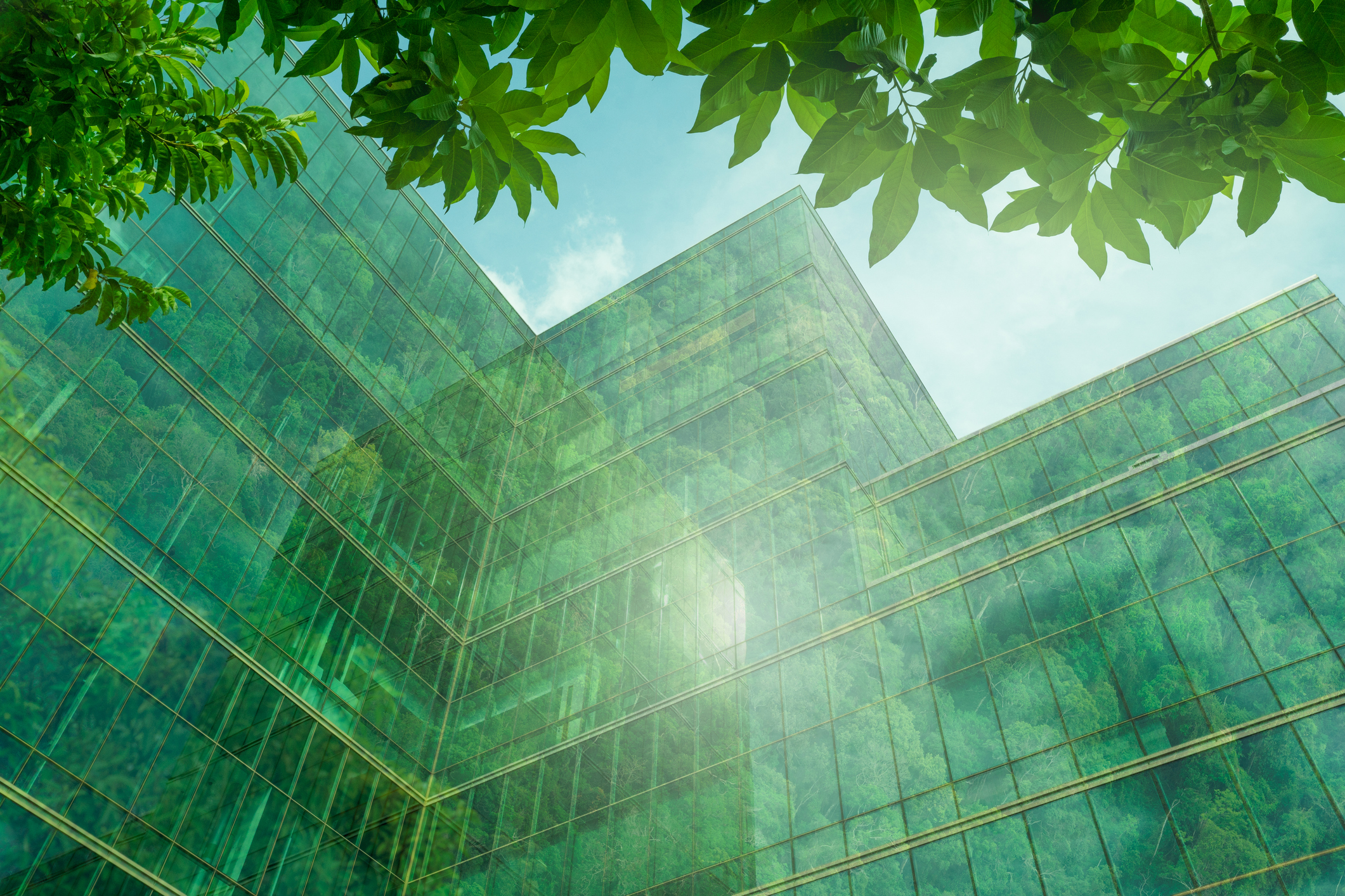 Opinião: Como o Brasil transformou sustentabilidade em desenvolvimento