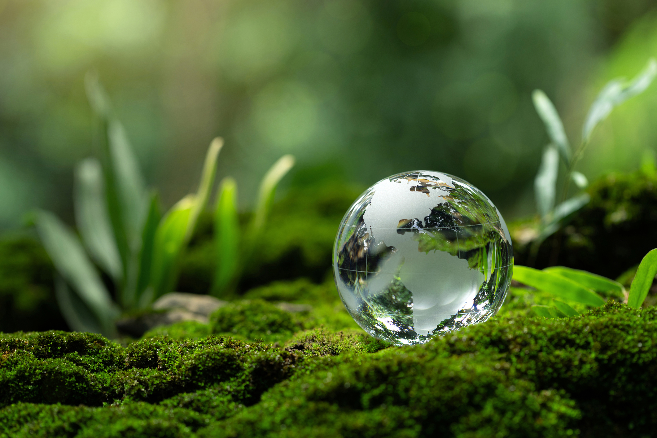 Câmara aprova projeto de licenciamento ambiental